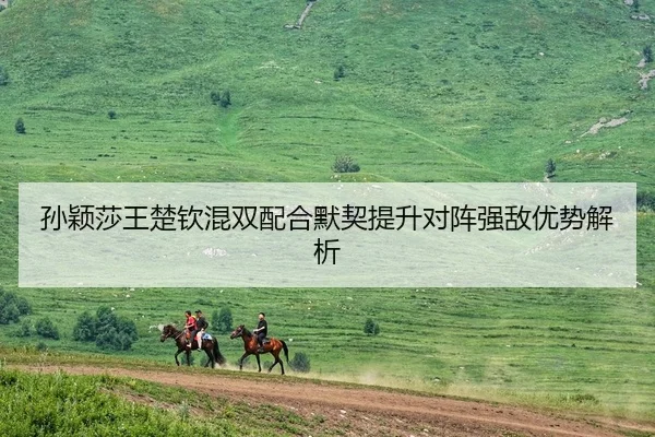 孙颖莎王楚钦混双配合默契提升对阵强敌优势解析